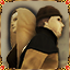 Achievement badge icon
