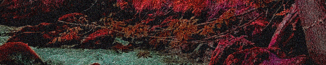 banner of some river in some forest with edited colors