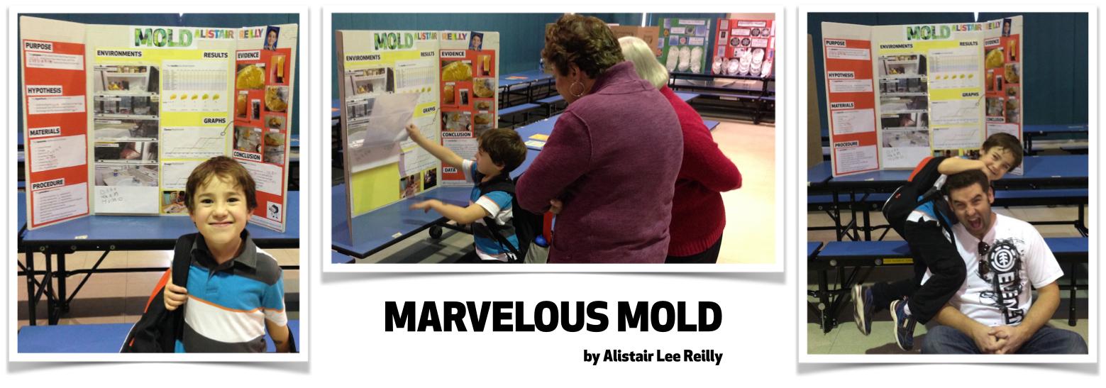 Marvelous Mold Science Project and Poster