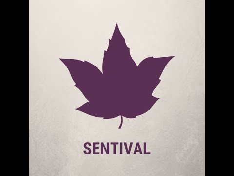 Sentival Demo