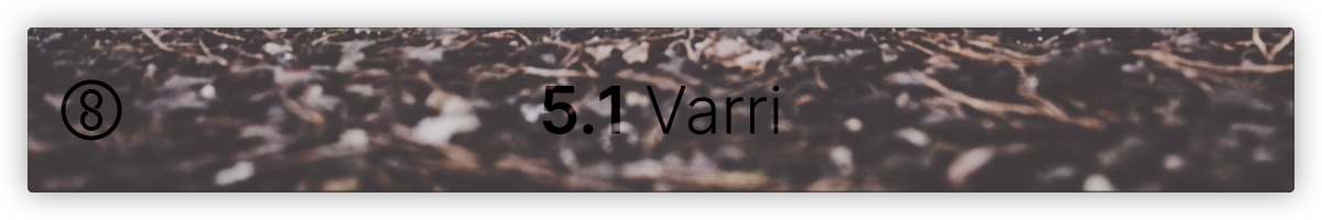 5.1 Varri