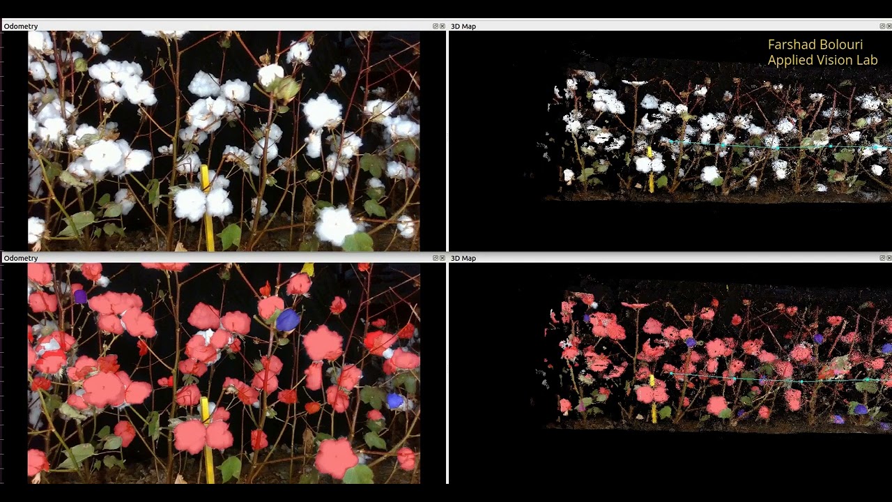 Cotton Plant Phenotyping Data Acquisition System