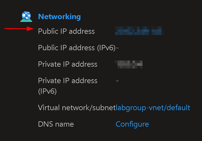 Public IP address for VM