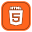 html5