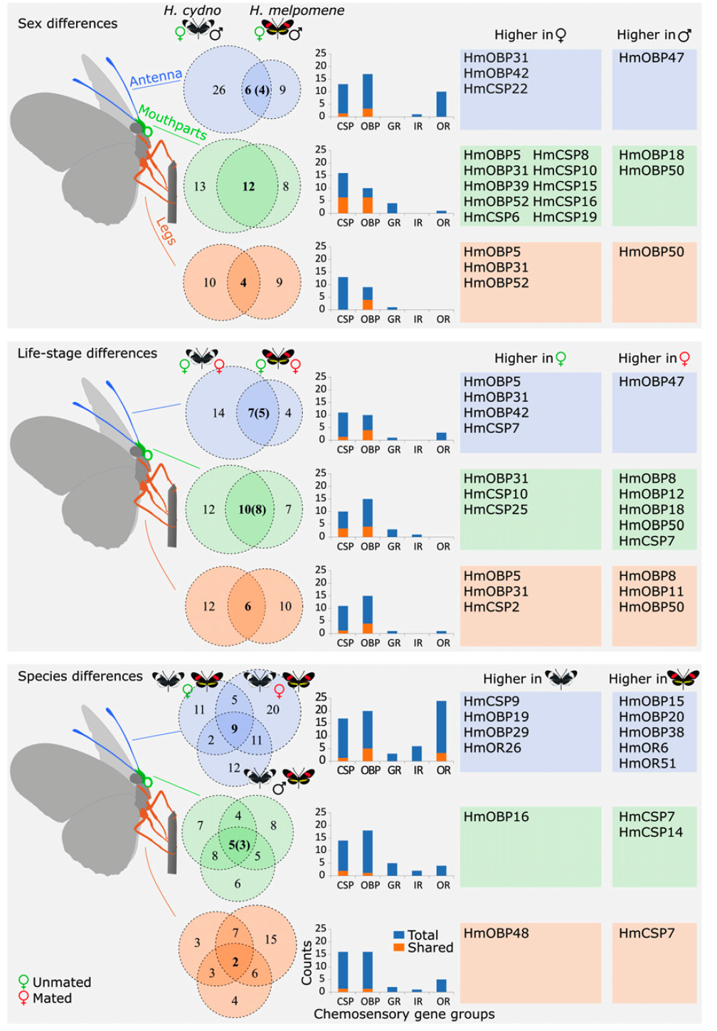 Overview of differentially expressed genes by tissue type, sex, life-stage, and species in H. cydno and H. melpomene.