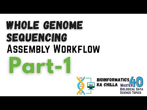 GitHub - AammarTufail/hybrid_genome_assembly_guide_bkc