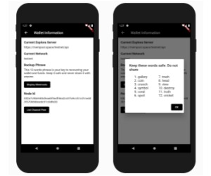 Wallet Information and Mnemonic Dialog