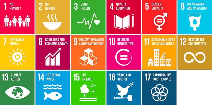 Image: 17 Sustainable Development Goals