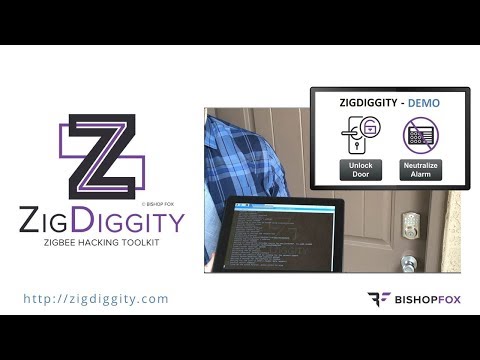ZigDiggity 2019 DEMO
