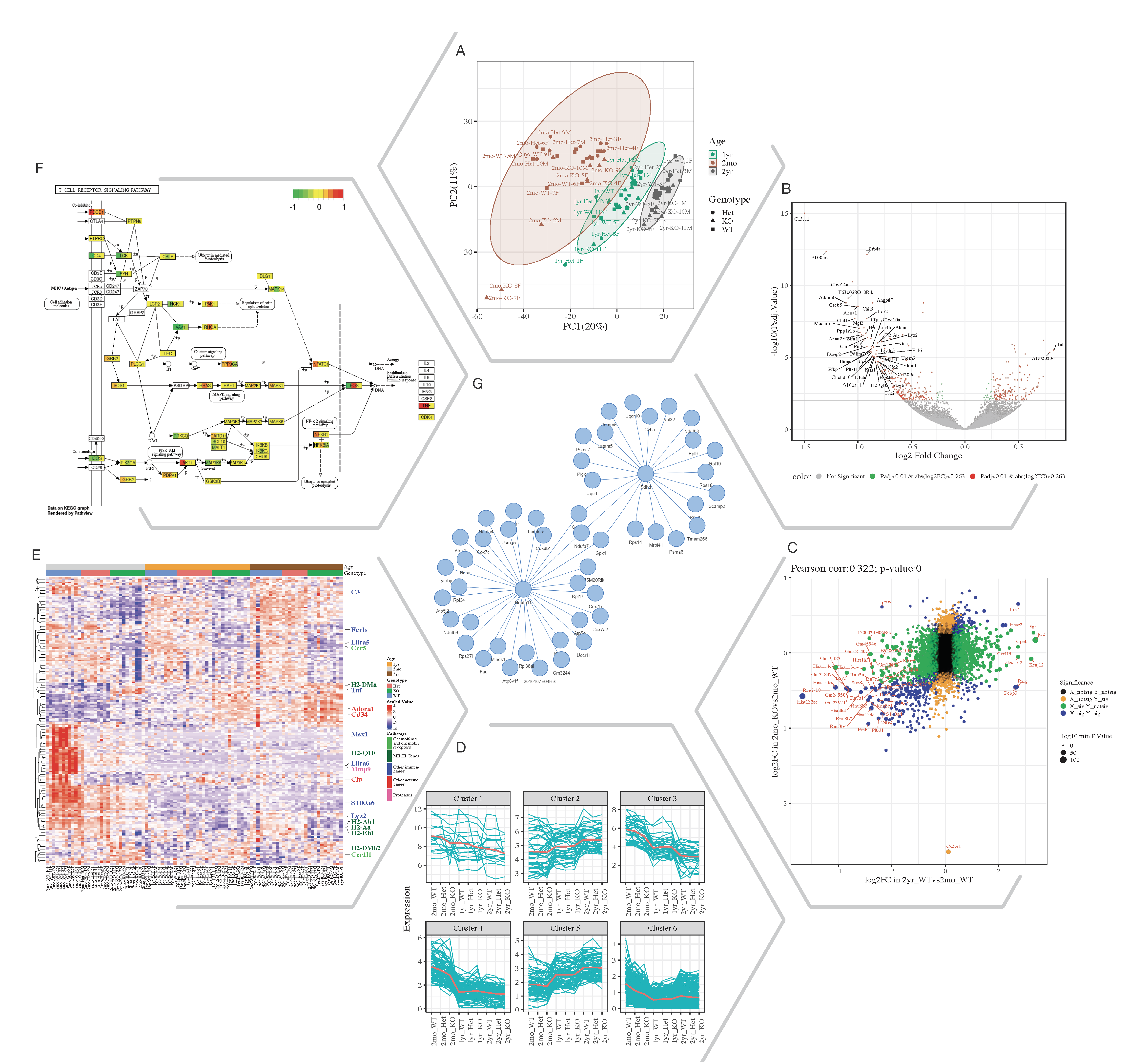 Quickomics