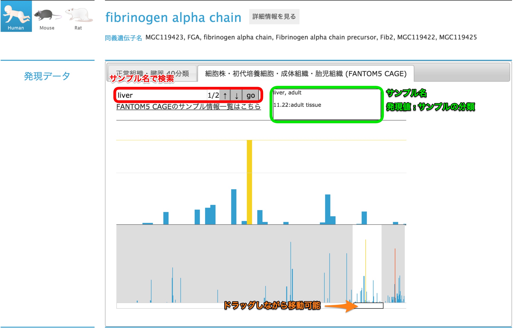 FANTOM5 CAGE Viewer