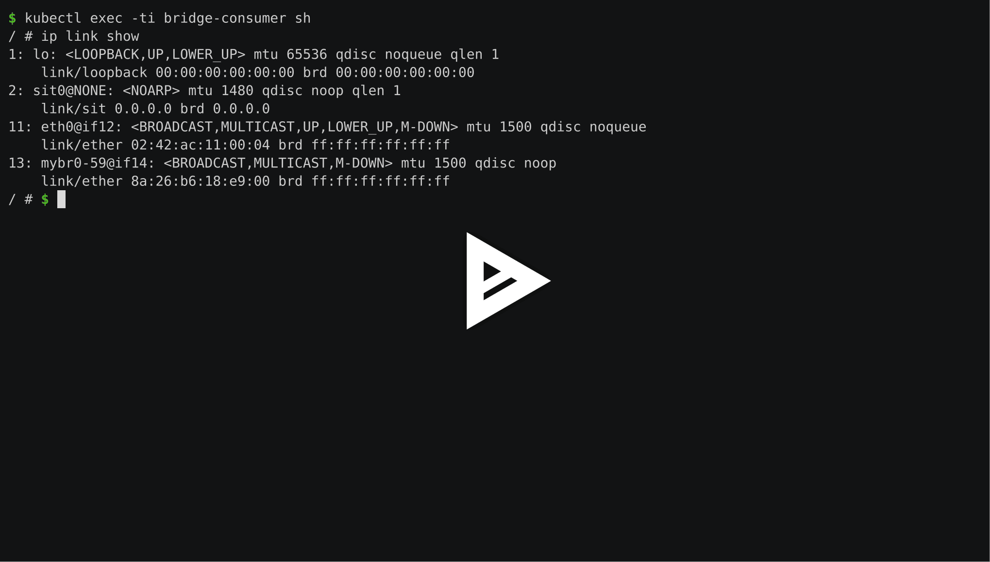 asciicast
