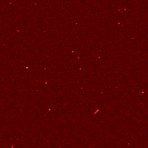 VLSS image