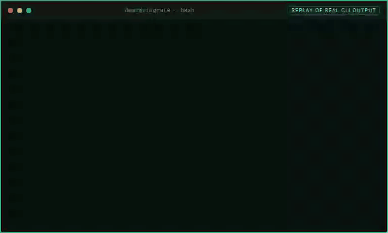 Recorded dotnet-clean-arch/review replay of the real Vibgrate CLI