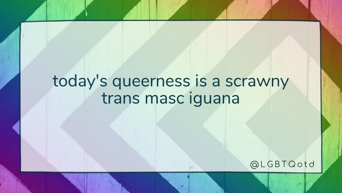 today's queerness is a scrawny trans masc iguana