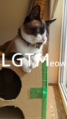 LGTMeow