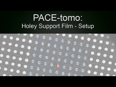 PACE-tomo: Holey Support Film - Setup