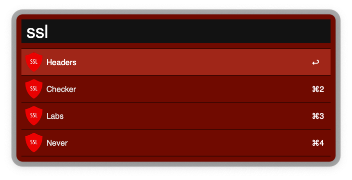 SSL workflow screenshot.