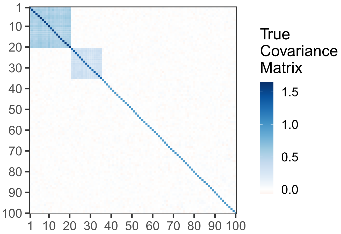 True covariance matrix