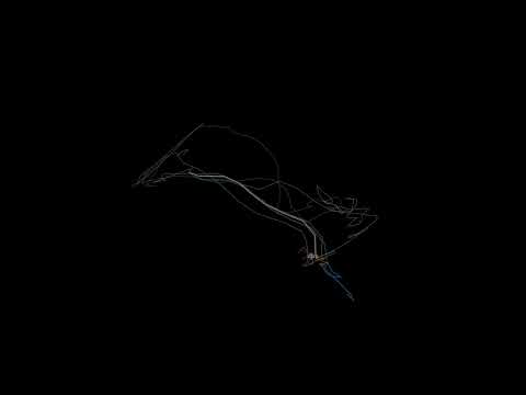 Brother (Kodaline) - Visualized with Machine Learning