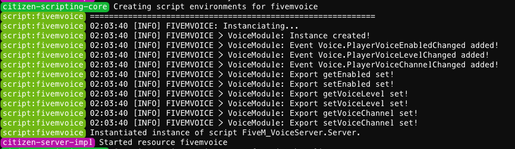 Server Console Output