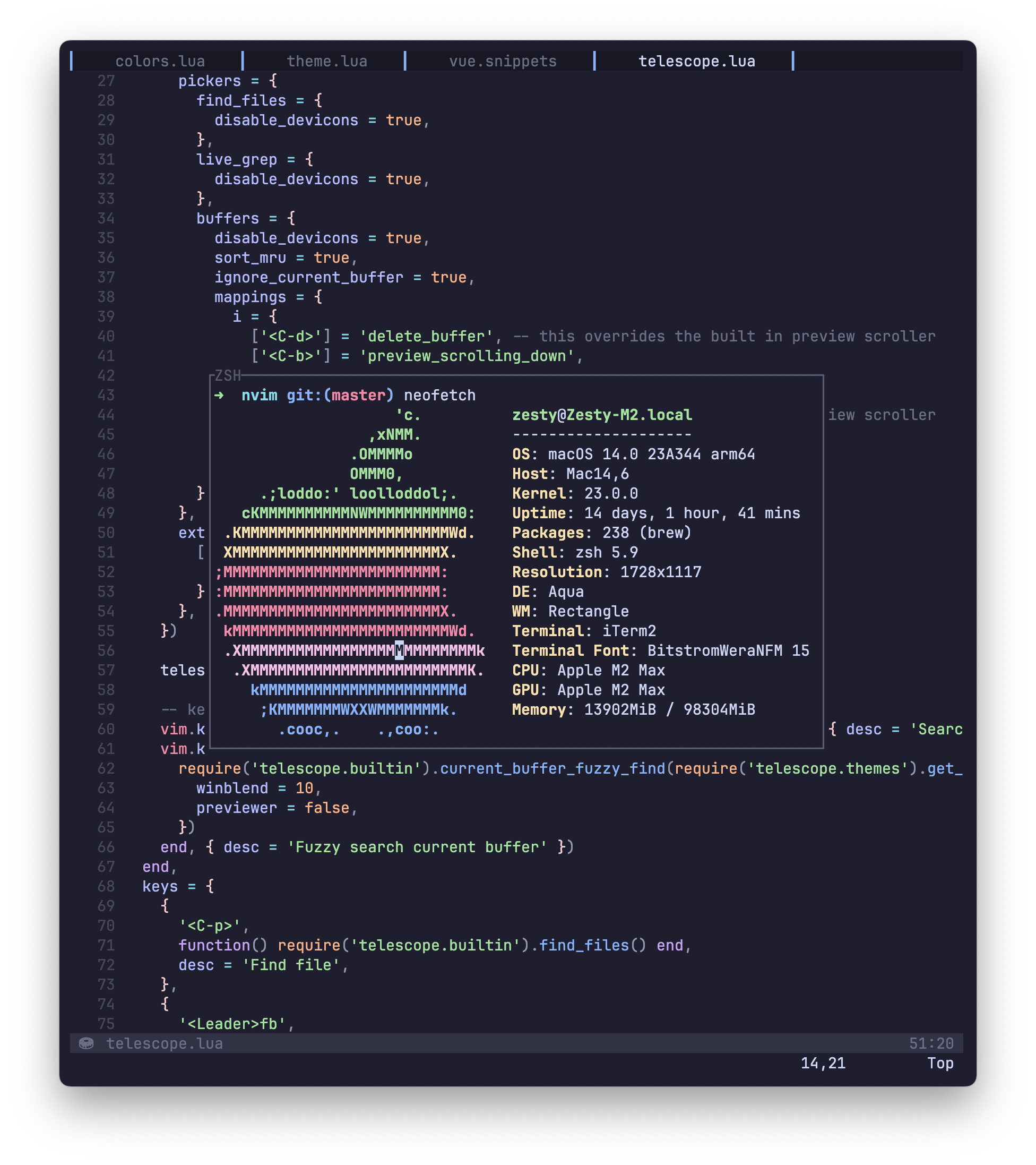 vim-floaterm + oh-my-zsh