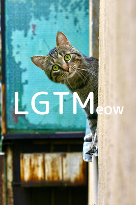 LGTMeow