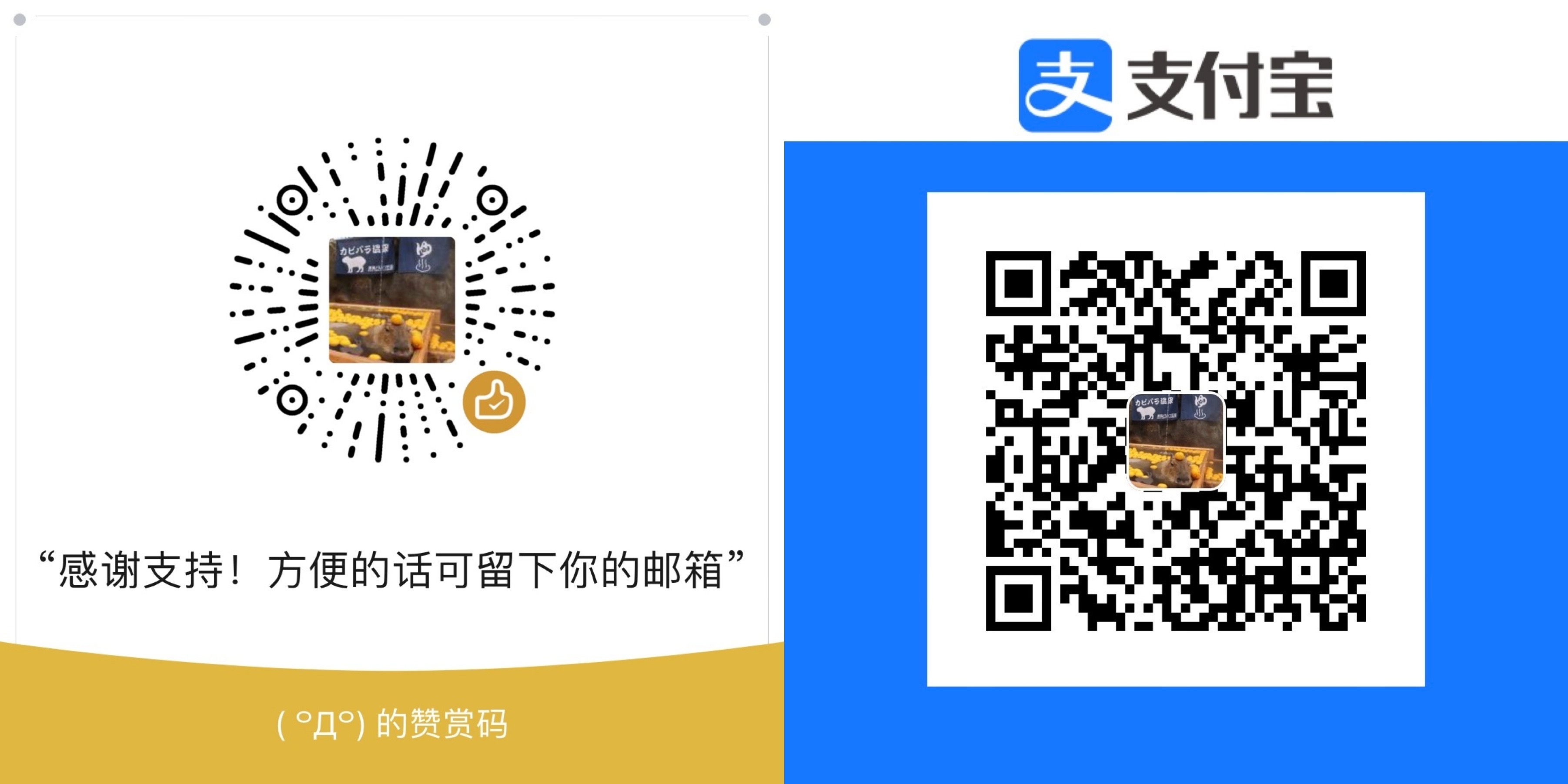 wechat and alipay