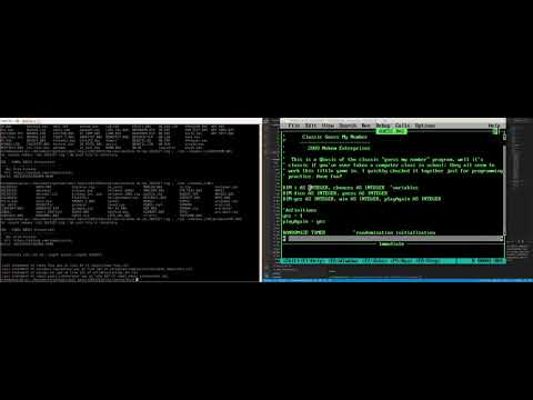 Video running some QB games in QuickBasic4.5 side by side wtih CBI