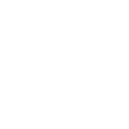 Anonymous Wombat          