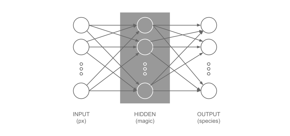 Neural Network Architecture