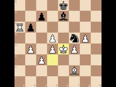 Tactician vs. Chess.com Level 4 Replay