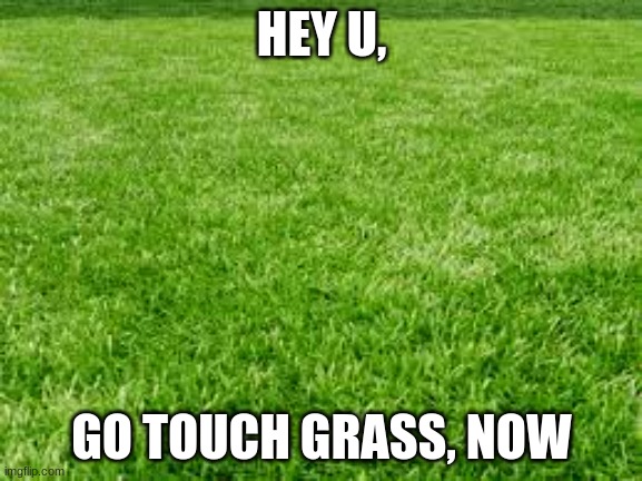 Touch grass, please, this isn't a joke