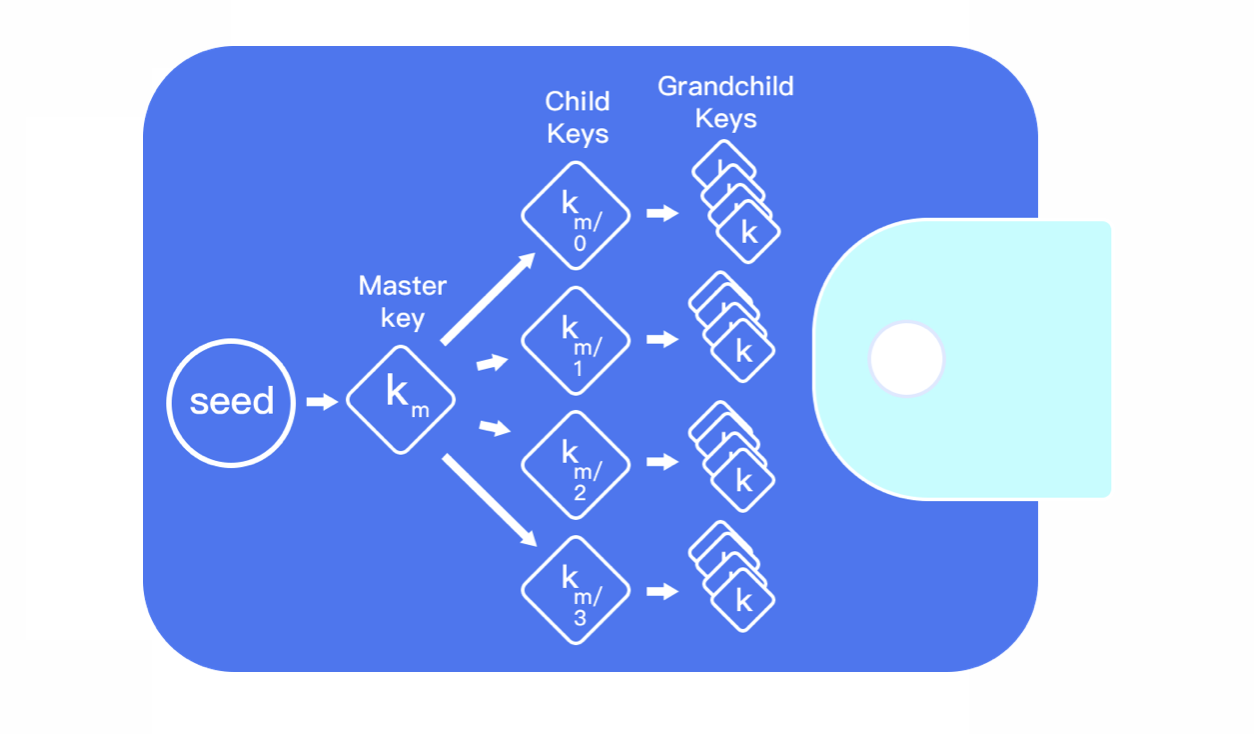 Layered deterministic Wallet Sketch Map