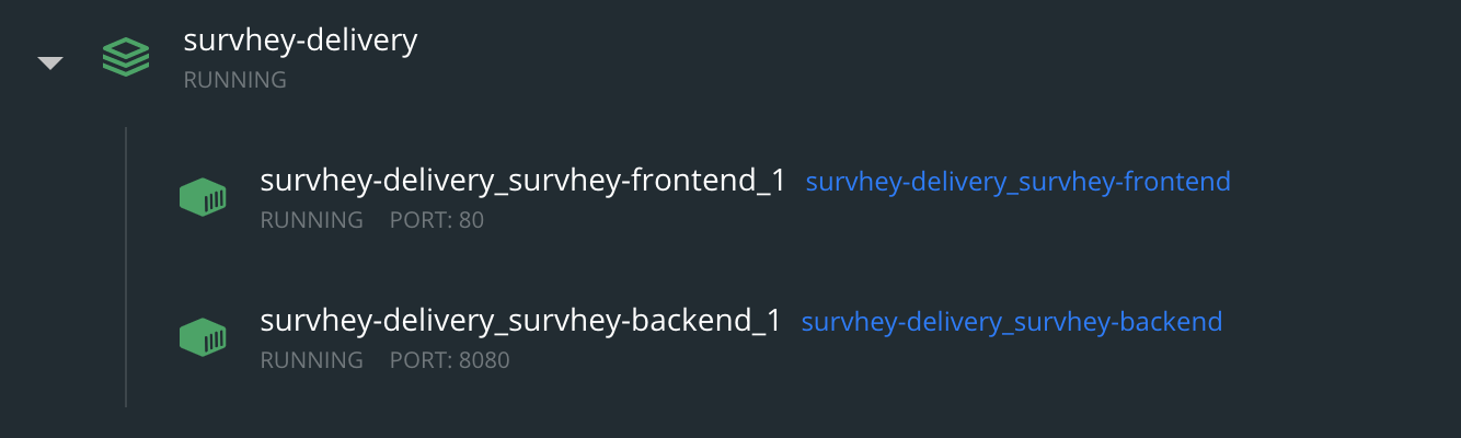 Image of SurvHey stack in Docker