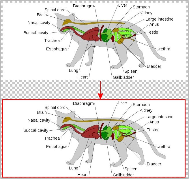 example of adding border