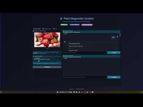 Webcam Demo
