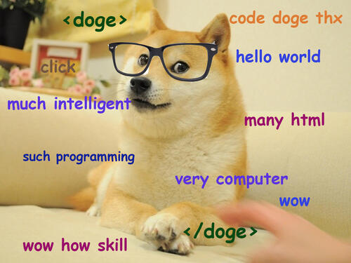 Doge can code