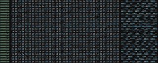 HEX editor view of a file with a lot of repeated bytes