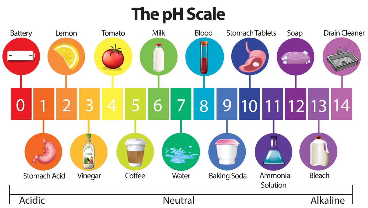 pH scale