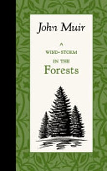 a-wind-storm-in-the-forests-2485965-1