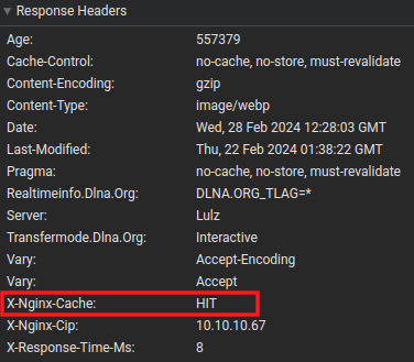 nginx-image-cache-hit