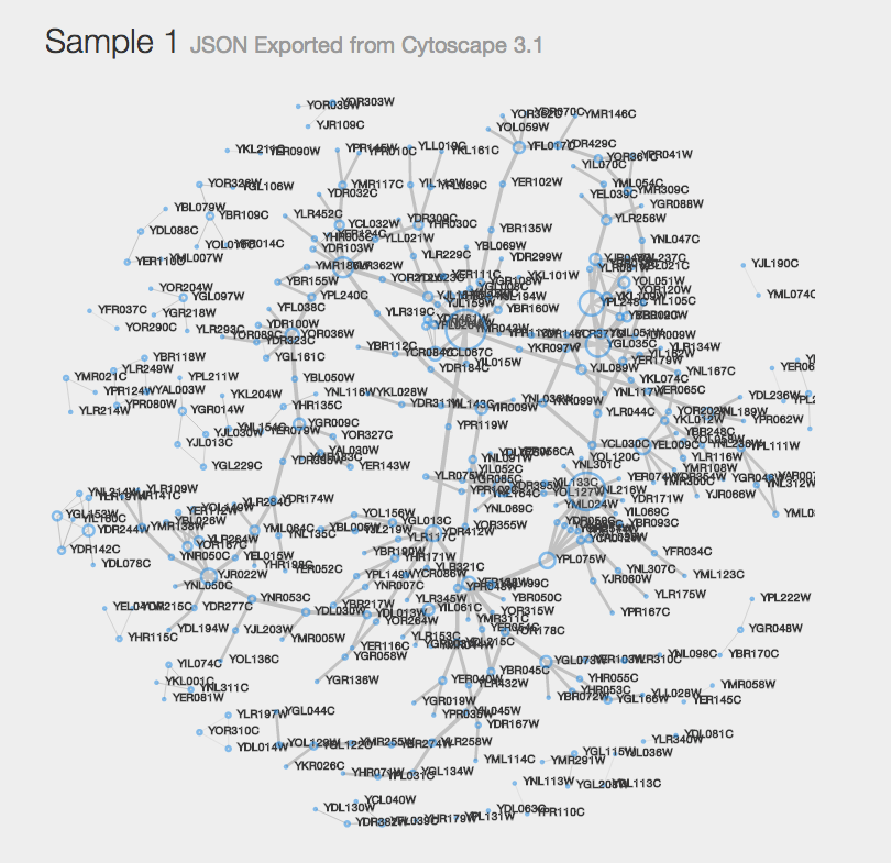 net1.json