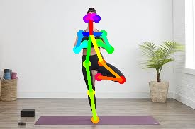 Yoga Pose Estimation App