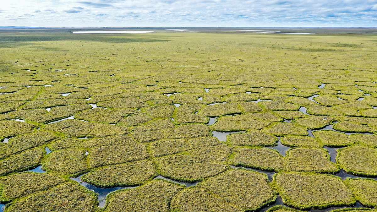 Permafrost high-center polygons