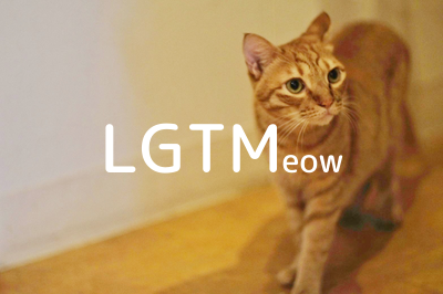 LGTMeow