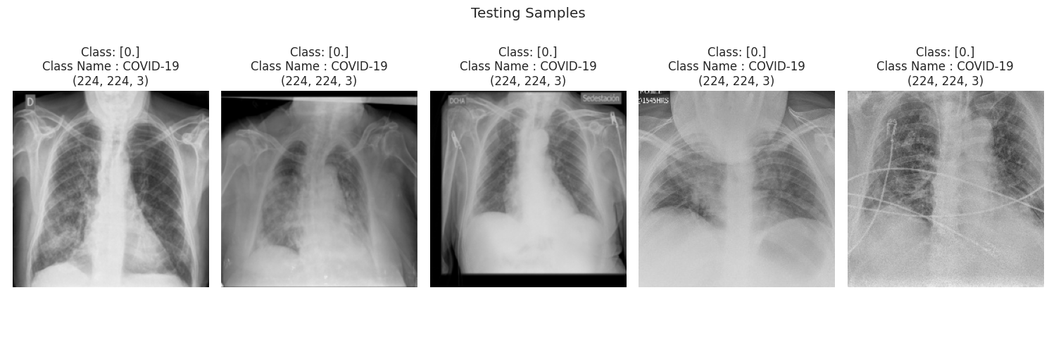 Samples from the Test Datasets