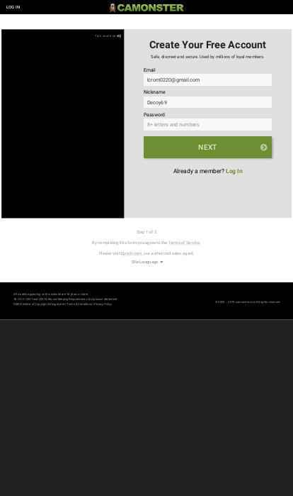 Screenshot Description
