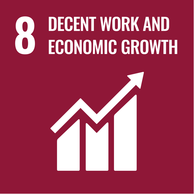 Goal 8 : Decent work and economic growth