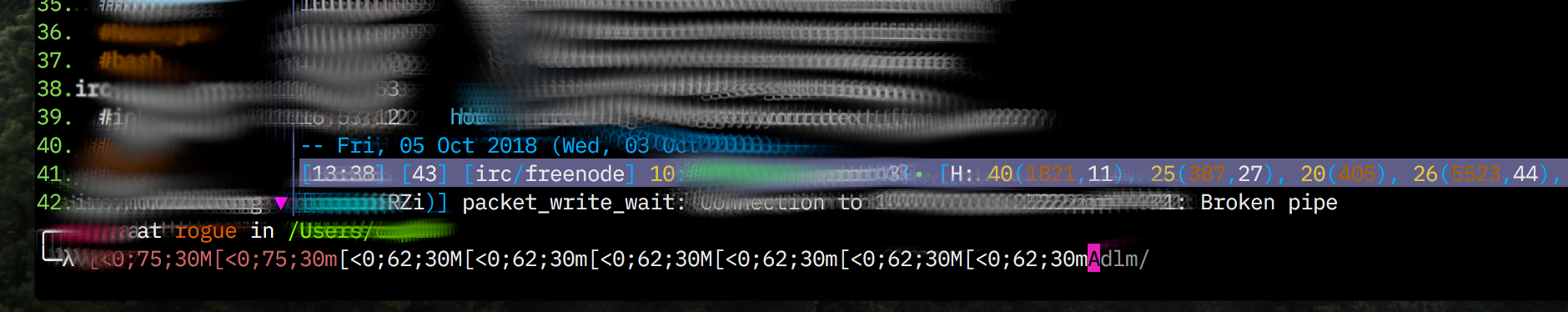 alacritty-broken-pipe-mouse-click